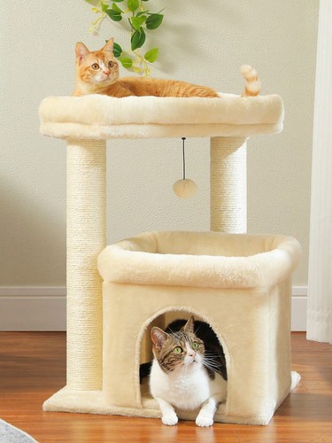 Albero per gatti con - albero,