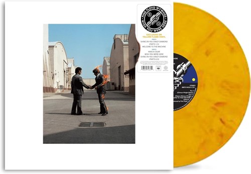 Wish you were - were, here