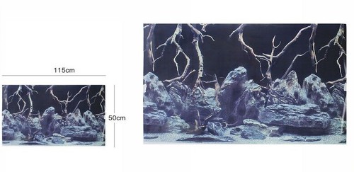Poster sfondo per acquario - sfondo,