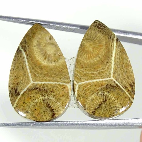 60cts tondo cabochon - 21.60cts,