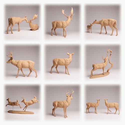 Animali nord america - nord, set