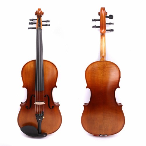 Viola elettrica acustica - , 15