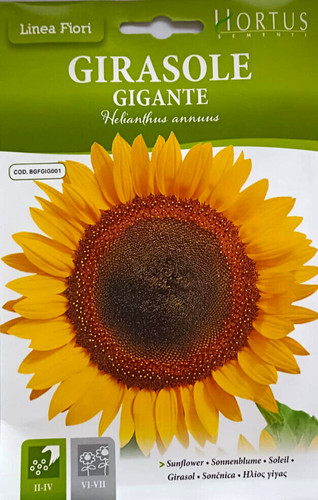 Semi girasole gigante - semi,