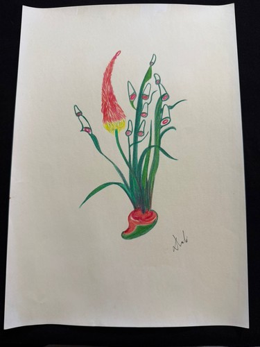 Salvador dali quadro disegno - dali,