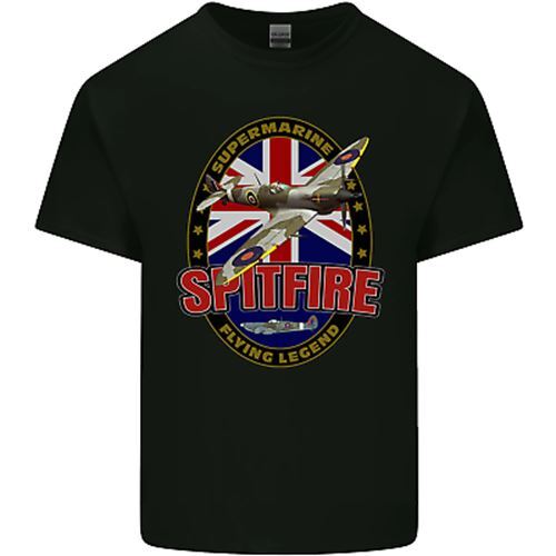 Supermarine spitfire flying - supermarine,