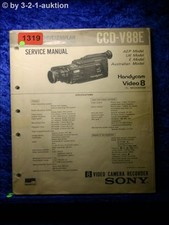 Manuale Di Servizio Sony CCD