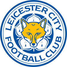 Card e Figurine PREMIER LEAGUE Leicester City Football Club - Leggi Descrizione