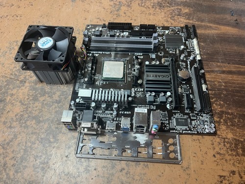 Scheda madre gigabyte - scheda,