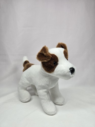 Feisty jack russell - feisty,
