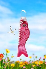 Giapponese Carpa 55 CM 1 Pezzo