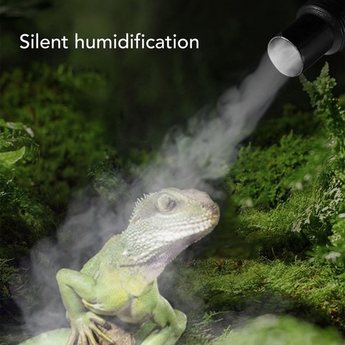Umidificatore terrario rettili - terrario,