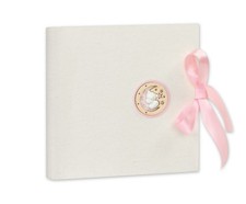 Album/Diario Ricordo, Nascita