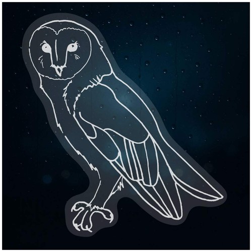 Barn owl - 'barn, owl'