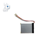  Batteria per BW889001694