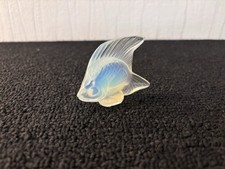 Pesce Opalescente 1 In