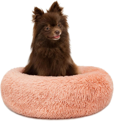 Letto per cani - letto, cuscino