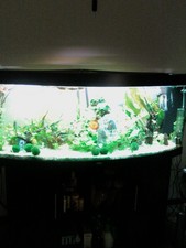 acquario juwel vision 450