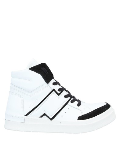 Rrp 590 cinzia araia - cinzia,