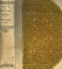 Trattato anatomia umana - di,