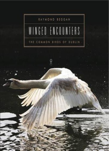 Winged encounters beggan - by,