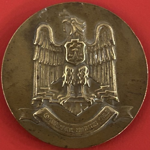 Medaglia placchetta - medaglia,