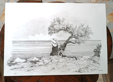 Stampa prova autore Alberto