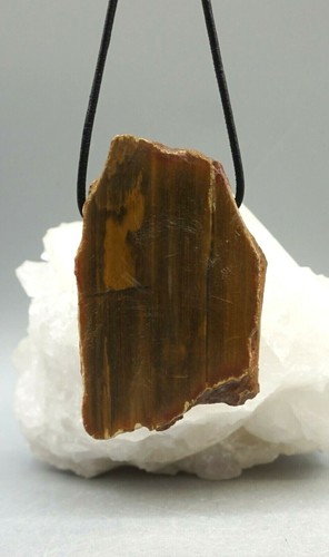 Legno fossilizzato grande - legno,