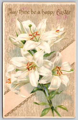 1910 gigli pasqua - di, cartolina