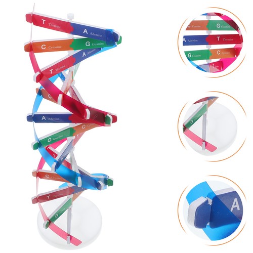 Modello doppia kit - a,