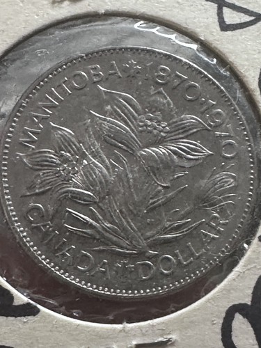 Lotto commemorativo dollaro