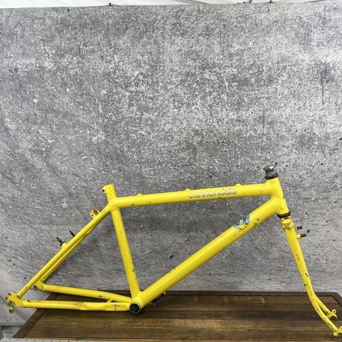 Telaio mountain bike vintage