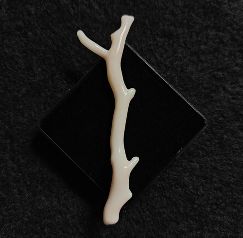 Naturale bianco corallo branch - bianco,