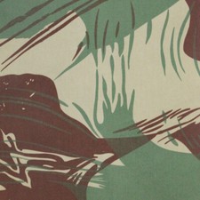 Spazzola Rhodesia larga 5