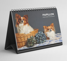 Papillon Calendario da