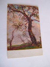 Roma - Paludi Pontine un sughero - spedita f. p. 