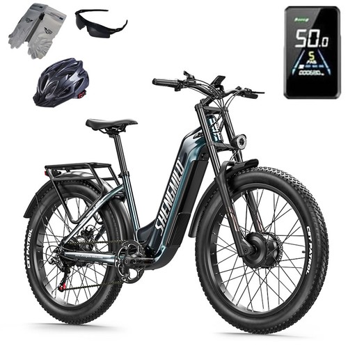 Bicicletta elettrica doppio