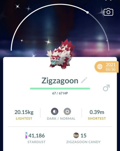 Shiny zigzagoon galar galarian - zigzagoon,
