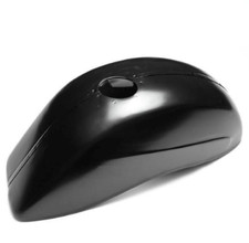 PARAFANGO PARASCHIZZI