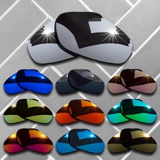 Anti-Scratch Polarized