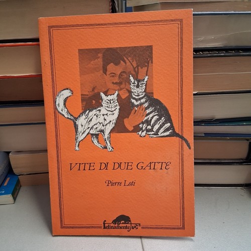 Vite due gatte - due, gatte,
