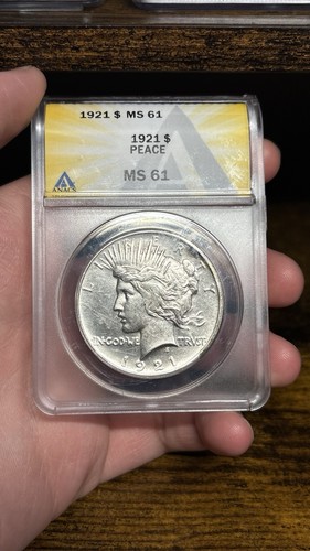 1921 ms61 altorilievo dollaro - ms61,