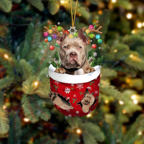 American bully decorazione - american,
