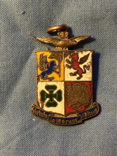 Aeronautica militare virtute - aeronautica,
