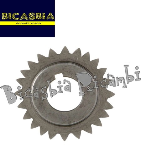 7474 pignone 24 denti - z,