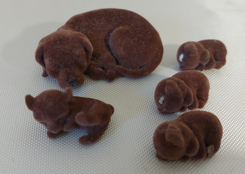 Cuccioli cerca amici - cuccioli, famiglia