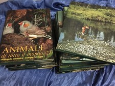 Animali da tutto il mondo -