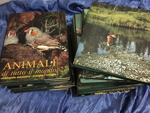 Animali tutto mondo - il,