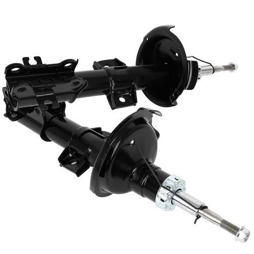 Struts shock absorbers - struts,
