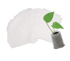 Augshy Sacchetti per