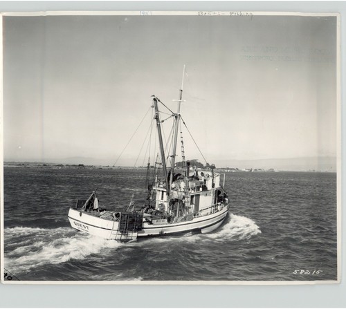Barca pesca quest cat - da,